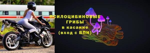 герыч Гусь-Хрустальный