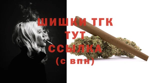 герыч Гусь-Хрустальный