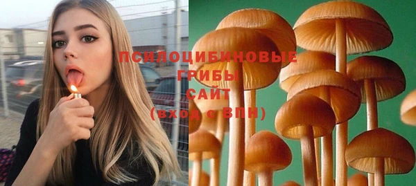 бутират Гусев