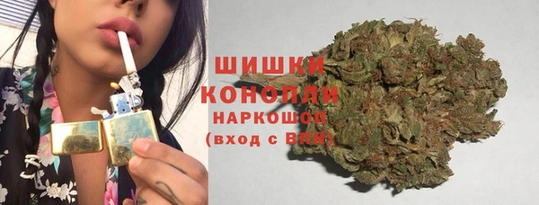 гашик Туринск