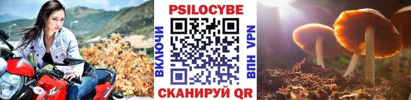OMG ССЫЛКА  что такое наркотик  Зея  Псилоцибиновые грибы Psilocybine cubensis 